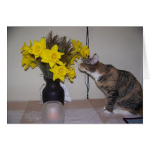 Missing you greeting cards