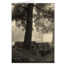 Missing You Greeting Cards