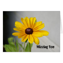 Missing You Greeting Cards