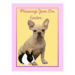 Missing you on  Easter French bulldog postcard