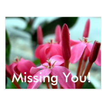 Missing You Post Cards