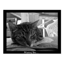 Missing You Postcard
