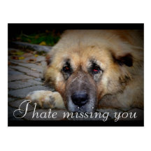 Missing You Postcards