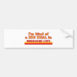 "Missoula" Bumper Sticker
