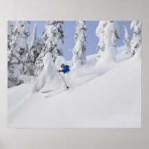 Mistie Fortin skis powder Posters