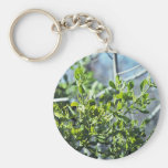 Mistletoe Key Chain