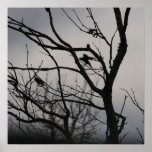 misty silence print