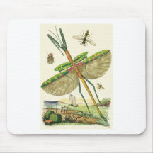Mixed Bag O'Bugs Mouse Pad
