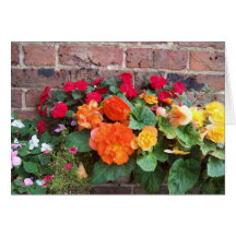 Mixed Flora Greetings Card