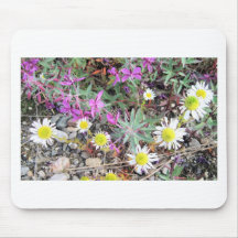 mixed flowers in Ak Mouse Mats