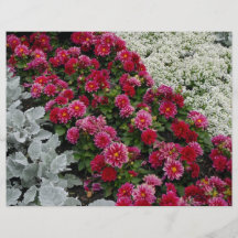 Mixed flowers in flower bed flyer design