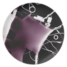 Mixed Movement Dinner Plate