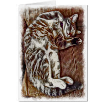 Miyu Cat Art Cards