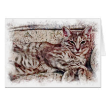 Miyu Cat Art Cards