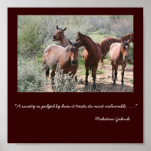MLH quarterhorses Poster