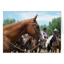 "Mo - One Great Horse" Notecard
