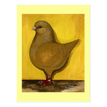 Modena Yellow Schietti Postcards
