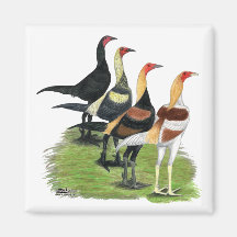 Modern Game Roosters Fridge Magnets