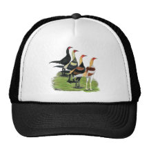 Modern Game Roosters Mesh Hat