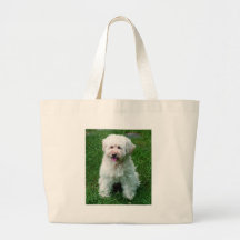 Molly Bag