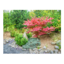 Momotaro Japanese Garden 3 Postcard