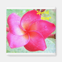 Moms Tropic Fashion - magnets