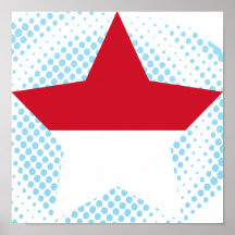 Monaco Star Print