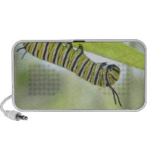 Monarch Butterfly Caterpillar Exploring A Milkweed iPod Speaker