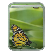 Monarch Butterfly Design iPad Sleeve