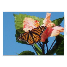 Monarch Butterfly Greeting Cards