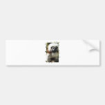 Monkey bumper sticker