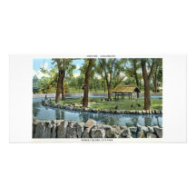 Monkey Island, Denver, Colorado Picture Card