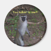 Monkey Magnet