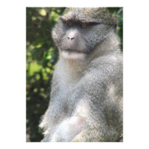 Monkey See, Monkey Do Invitation