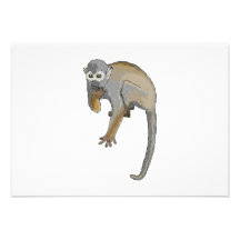 Monkey that is Eating. Personalized Invites