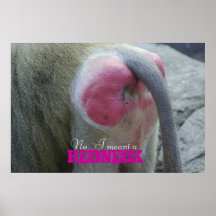 monkeybutt, No...I meant a , REDNECK Print