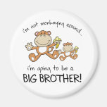 monkeying around magnet