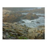 Monterey Fog Big Sur California 2 Painted Postcard