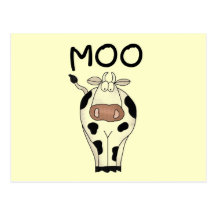 Moo Cow Tshirts and Gifts Post Card