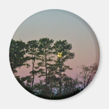 Moon Setting @ Dawn Greetings From Virginia Items Magnet