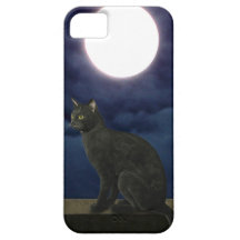Moonlight Kitty iPhone 5 Cover