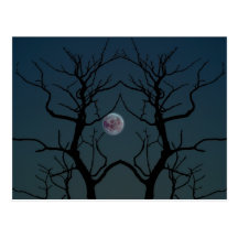 Moonlight Tree Silhouette Post Cards