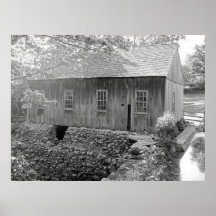 moore state park print