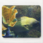 moray eel mousepads
