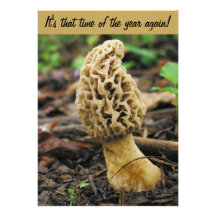 Morel Mushroom Hunting Invitation