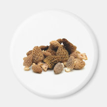 Morel Mushroom Magnets