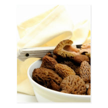 Morel Mushroom Postcards
