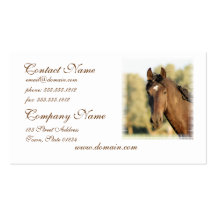 Morgan Horse Business Cards