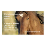Morgan Horse Business Cards