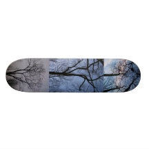 morning day and night skate decks